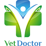 VetDoctor - Strona internetowa dla Twojego gabinetu weterynaryjnego