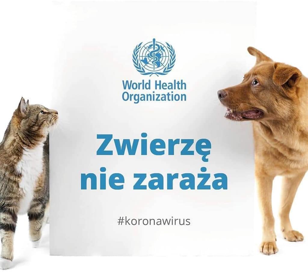 Koronawirus ⋆ Gabinet Weterynaryjny OSTOJA w Zawoni