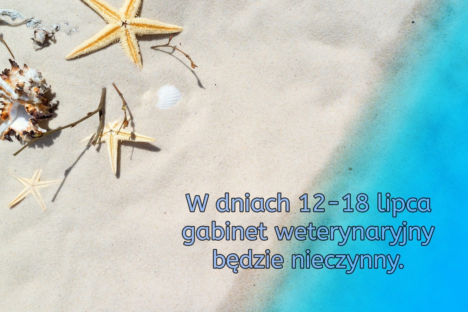 Wakacje ⋆ Gabinet Weterynaryjny OSTOJA w Zawoni