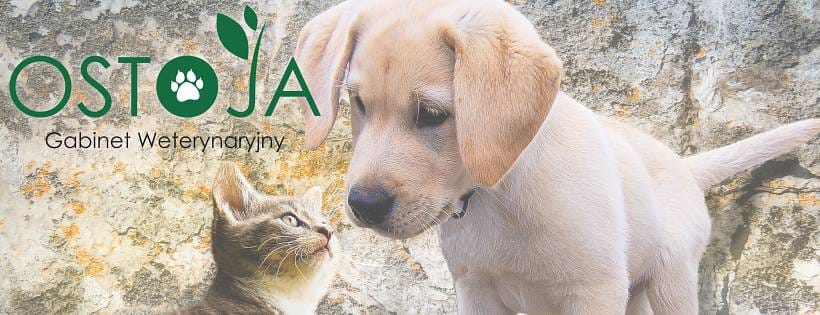 Facebook​ ⋆ Gabinet Weterynaryjny OSTOJA w Zawoni