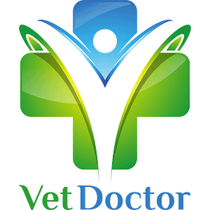Strona główna • VetDoctor (blog-004) • Marketing weterynaryjny. Oferujemy tworzenie stron WWW dla weterynarii: projekt, utrzymanie, mail firmowy, darmowa domena, SEO.